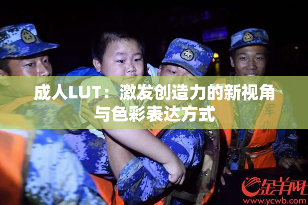 成人LUT：激发创造力的新视角与色彩表达方式