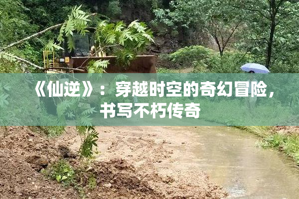 《仙逆》：穿越时空的奇幻冒险，书写不朽传奇