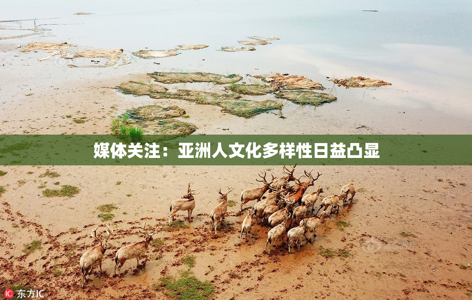 媒体关注：亚洲人文化多样性日益凸显