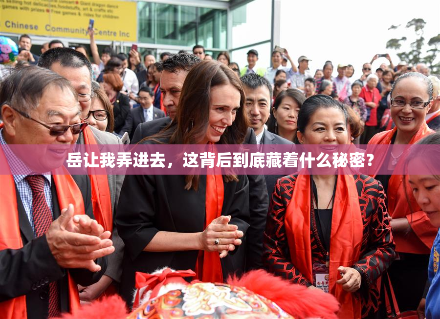 岳让我弄进去，这背后到底藏着什么秘密？