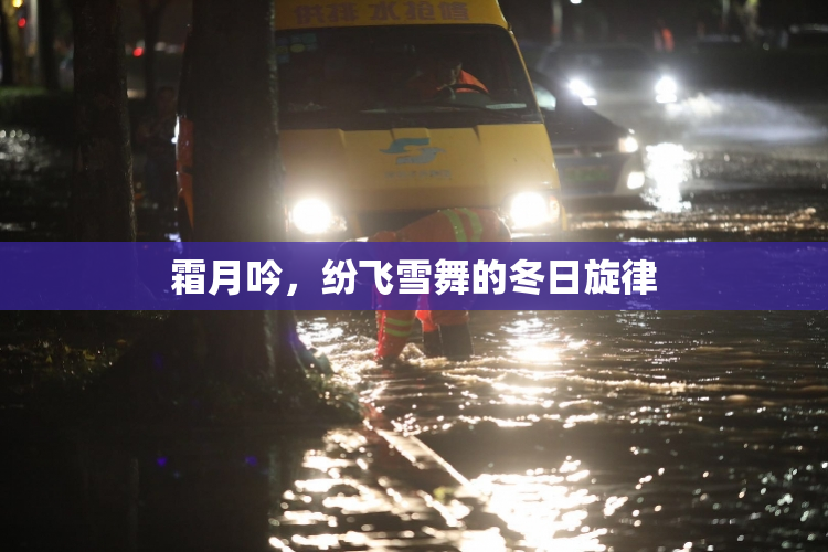 霜月吟，纷飞雪舞的冬日旋律
