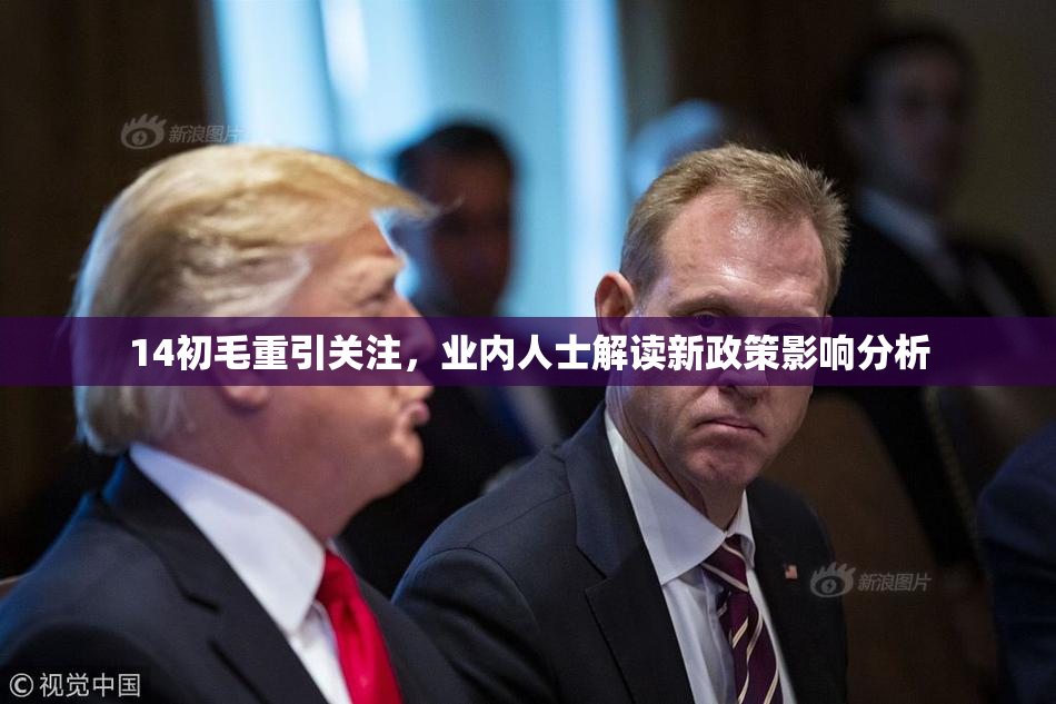 14初毛重引关注，业内人士解读新政策影响分析