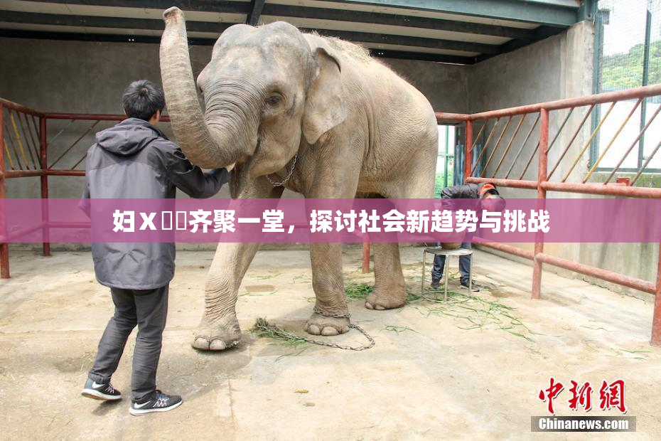 妇Ⅹ乄乂齐聚一堂，探讨社会新趋势与挑战