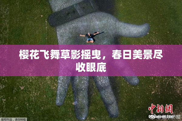 樱花飞舞草影摇曳，春日美景尽收眼底