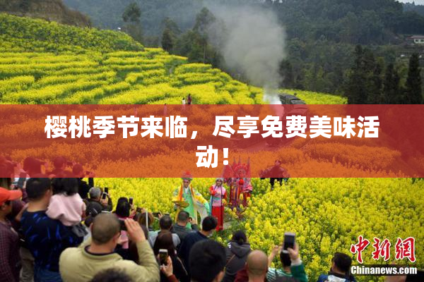 樱桃季节来临，尽享免费美味活动！