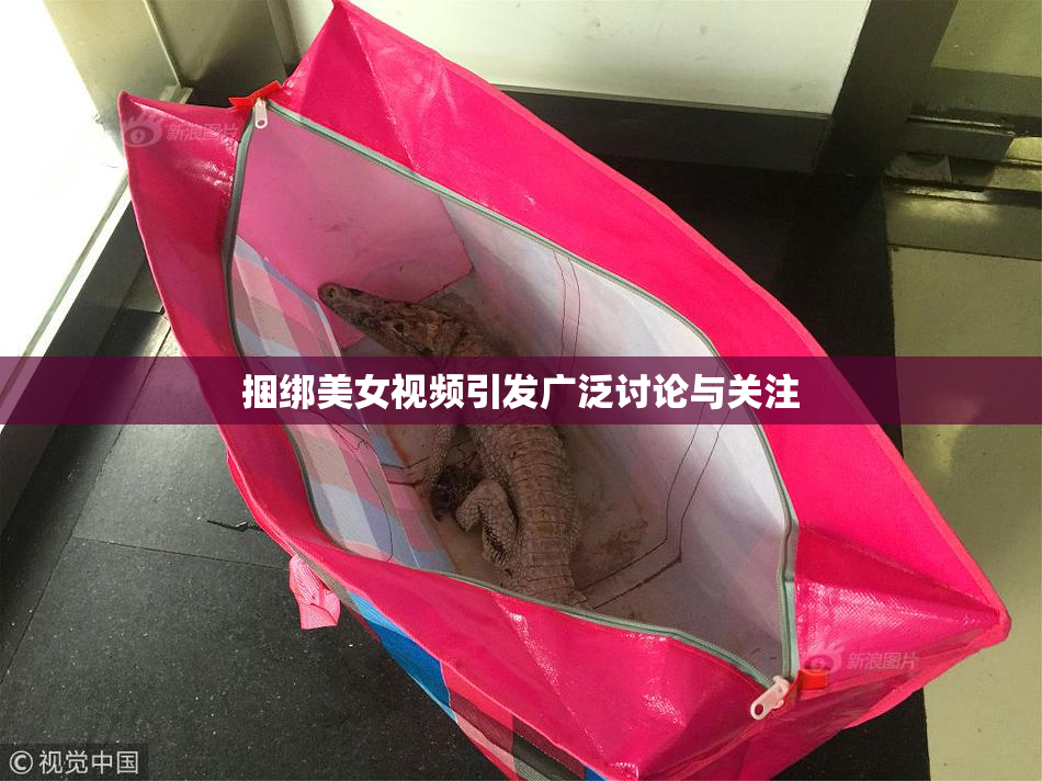 捆绑美女视频引发广泛讨论与关注