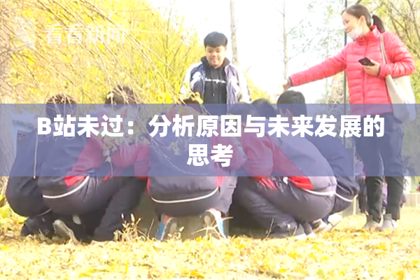 B站未过：分析原因与未来发展的思考