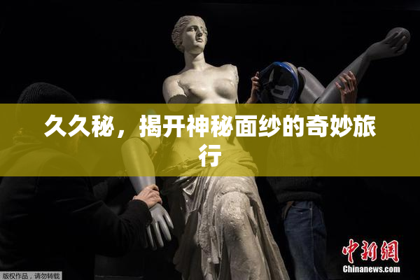 久久秘，揭开神秘面纱的奇妙旅行