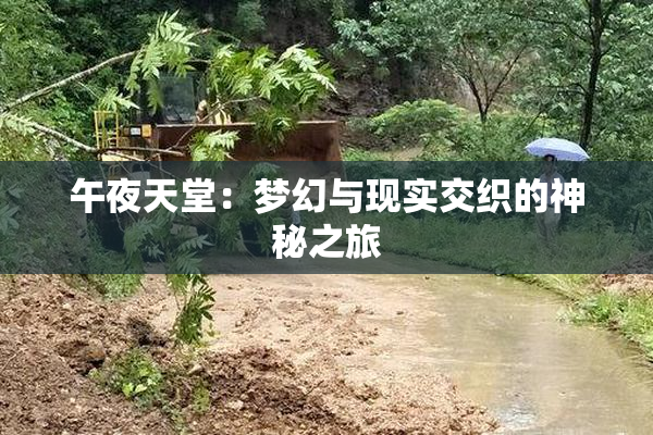 午夜天堂：梦幻与现实交织的神秘之旅