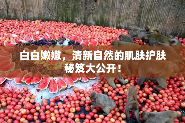 白白嫩嫩，清新自然的肌肤护肤秘笈大公开！