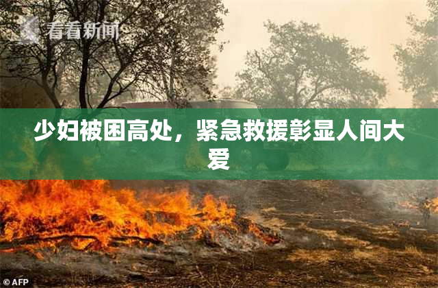 少妇被困高处，紧急救援彰显人间大爱