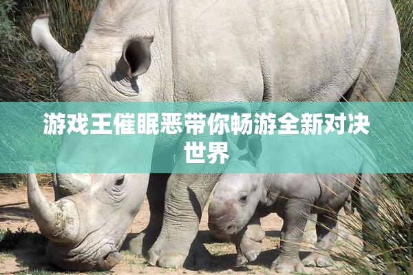 游戏王催眠恶带你畅游全新对决世界