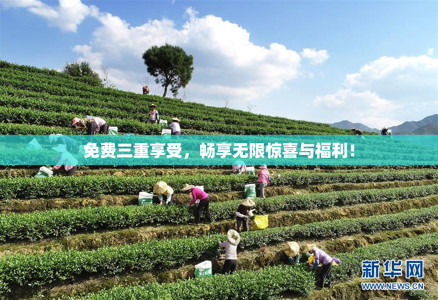 免费三重享受，畅享无限惊喜与福利！