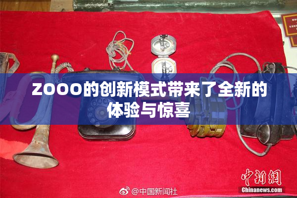ZOOO的创新模式带来了全新的体验与惊喜