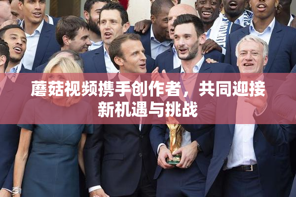蘑菇视频携手创作者，共同迎接新机遇与挑战
