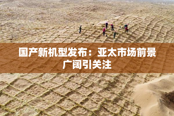 国产新机型发布：亚太市场前景广阔引关注
