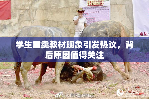 学生重卖教材现象引发热议，背后原因值得关注