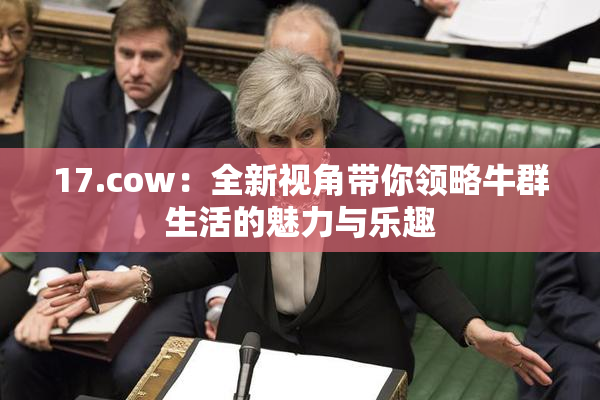 17.cow：全新视角带你领略牛群生活的魅力与乐趣