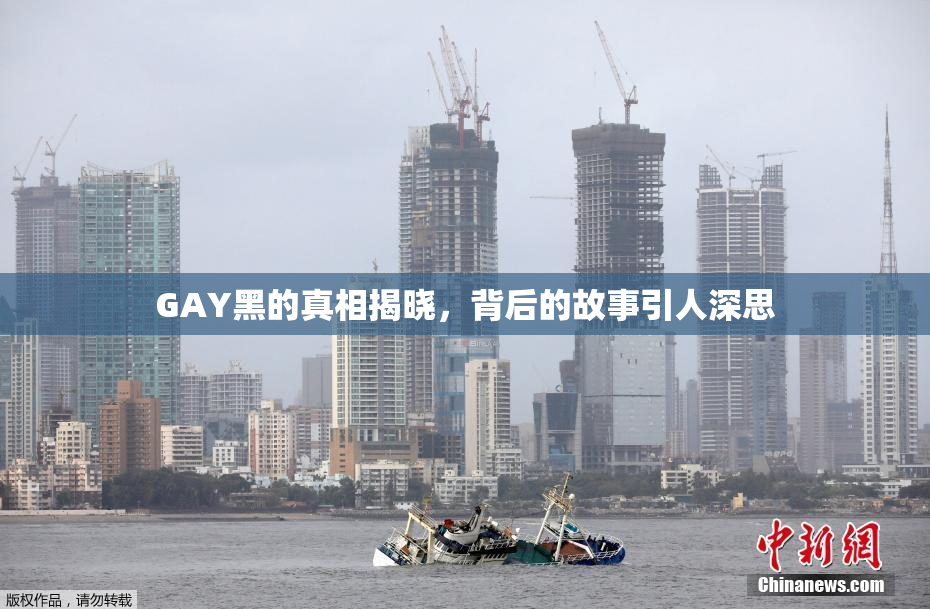 GAY黑的真相揭晓，背后的故事引人深思