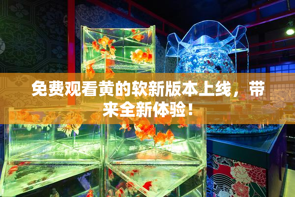 免费观看黄的软新版本上线，带来全新体验！
