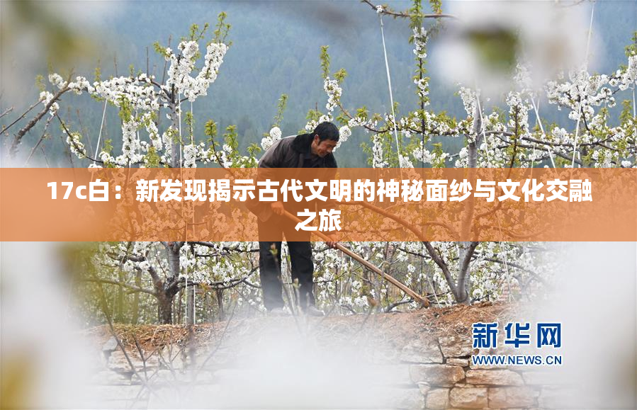 17c白：新发现揭示古代文明的神秘面纱与文化交融之旅