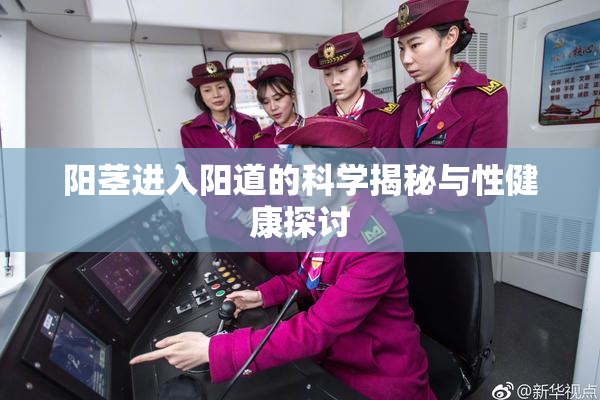 阳茎进入阳道的科学揭秘与性健康探讨