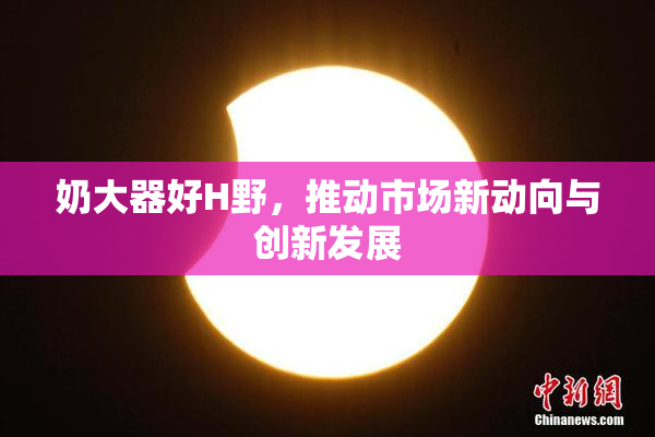 奶大器好H野，推动市场新动向与创新发展
