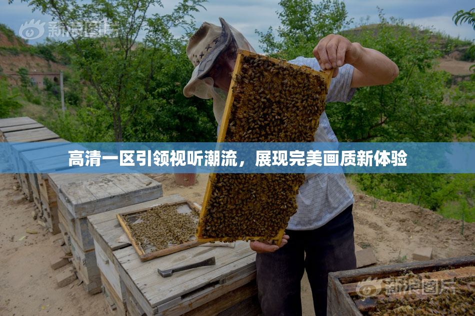 高清一区引领视听潮流，展现完美画质新体验