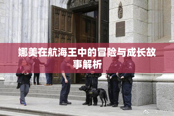 娜美在航海王中的冒险与成长故事解析