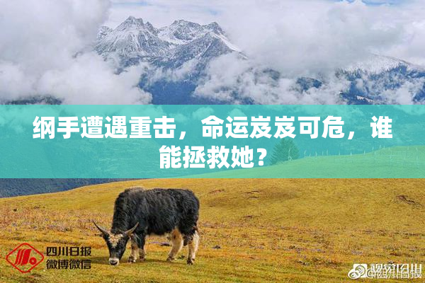 纲手遭遇重击，命运岌岌可危，谁能拯救她？