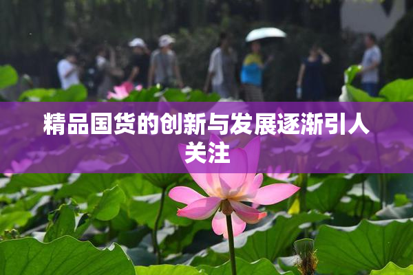 精品国货的创新与发展逐渐引人关注