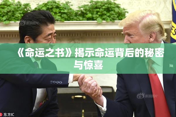 《命运之书》揭示命运背后的秘密与惊喜