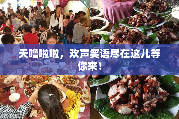 天噜啦啦，欢声笑语尽在这儿等你来！