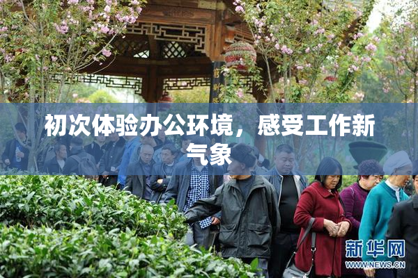 初次体验办公环境，感受工作新气象