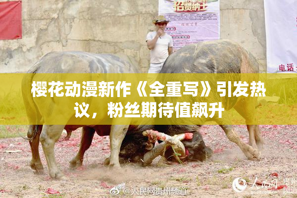 樱花动漫新作《全重写》引发热议，粉丝期待值飙升