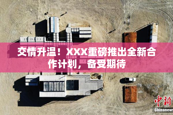 交情升温！XXX重磅推出全新合作计划，备受期待