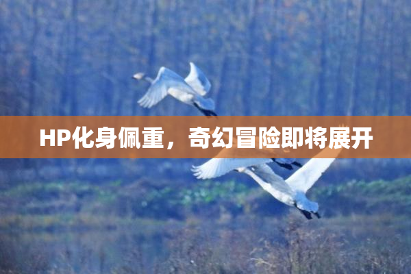 HP化身佩重，奇幻冒险即将展开