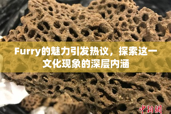 Furry的魅力引发热议，探索这一文化现象的深层内涵