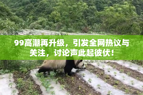 99高潮再升级，引发全网热议与关注，讨论声此起彼伏！