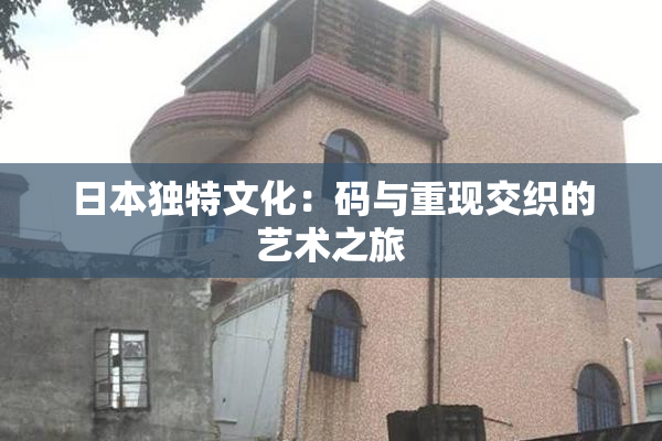 日本独特文化：码与重现交织的艺术之旅