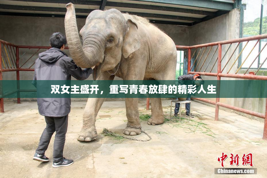 双女主盛开，重写青春放肆的精彩人生