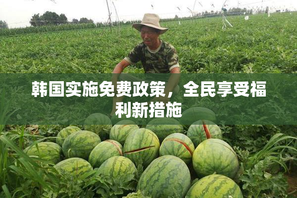 韩国实施免费政策，全民享受福利新措施
