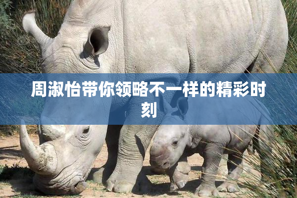 周淑怡带你领略不一样的精彩时刻