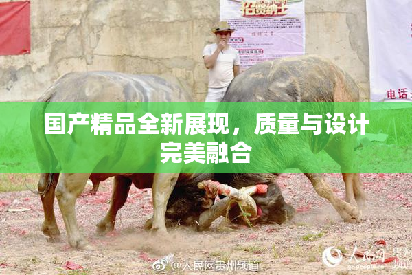 国产精品全新展现，质量与设计完美融合