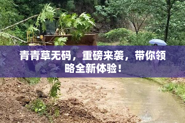 青青草无码，重磅来袭，带你领略全新体验！