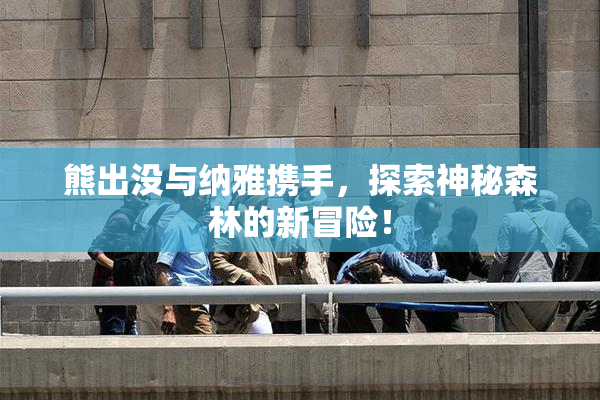 熊出没与纳雅携手，探索神秘森林的新冒险！