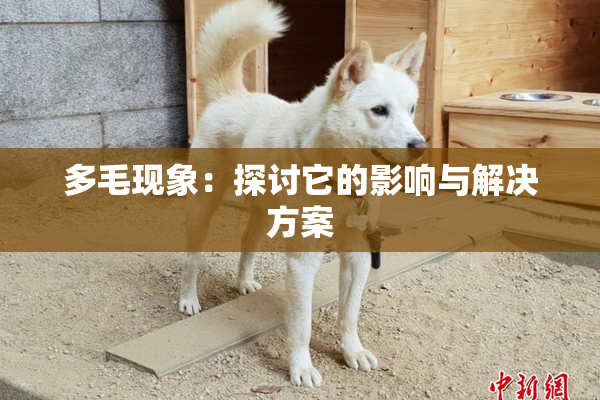 多毛现象：探讨它的影响与解决方案