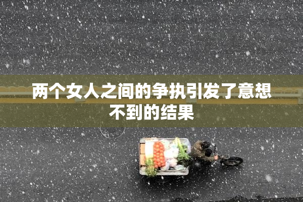 两个女人之间的争执引发了意想不到的结果