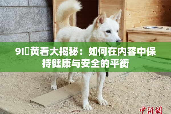 9I婬黄看大揭秘：如何在内容中保持健康与安全的平衡