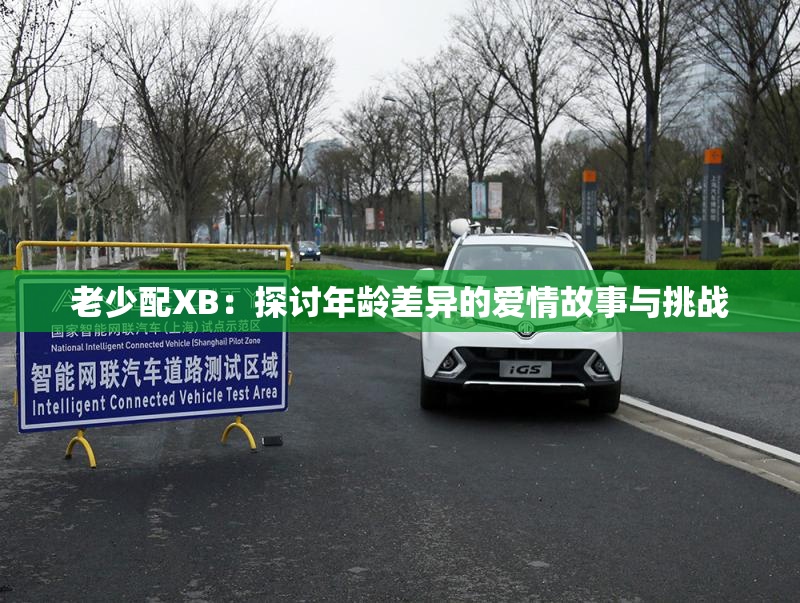 老少配XB：探讨年龄差异的爱情故事与挑战
